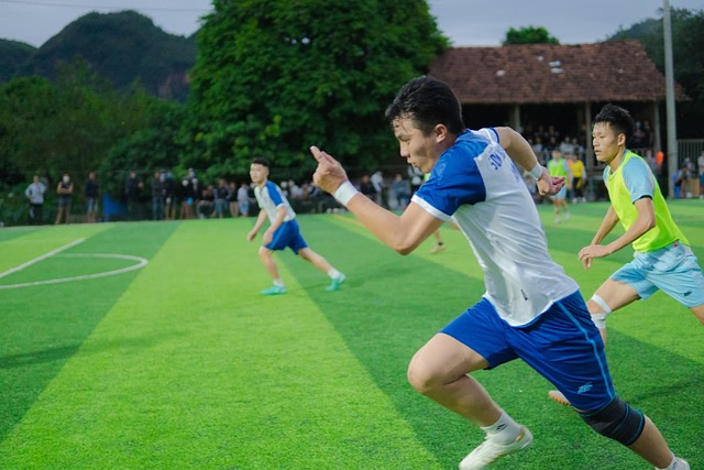 森林狼拥有 森林狼拥有