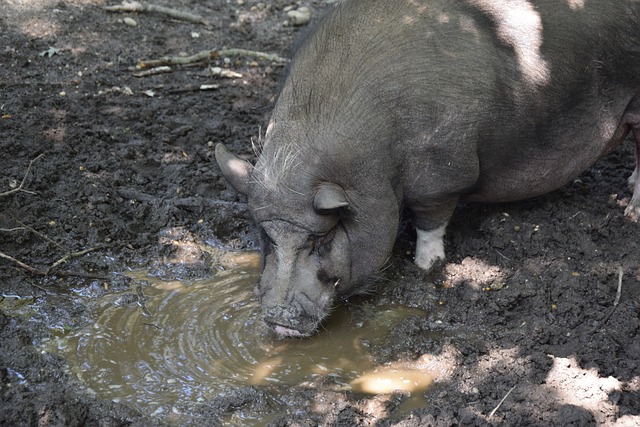 切尔西需要 切尔西需要