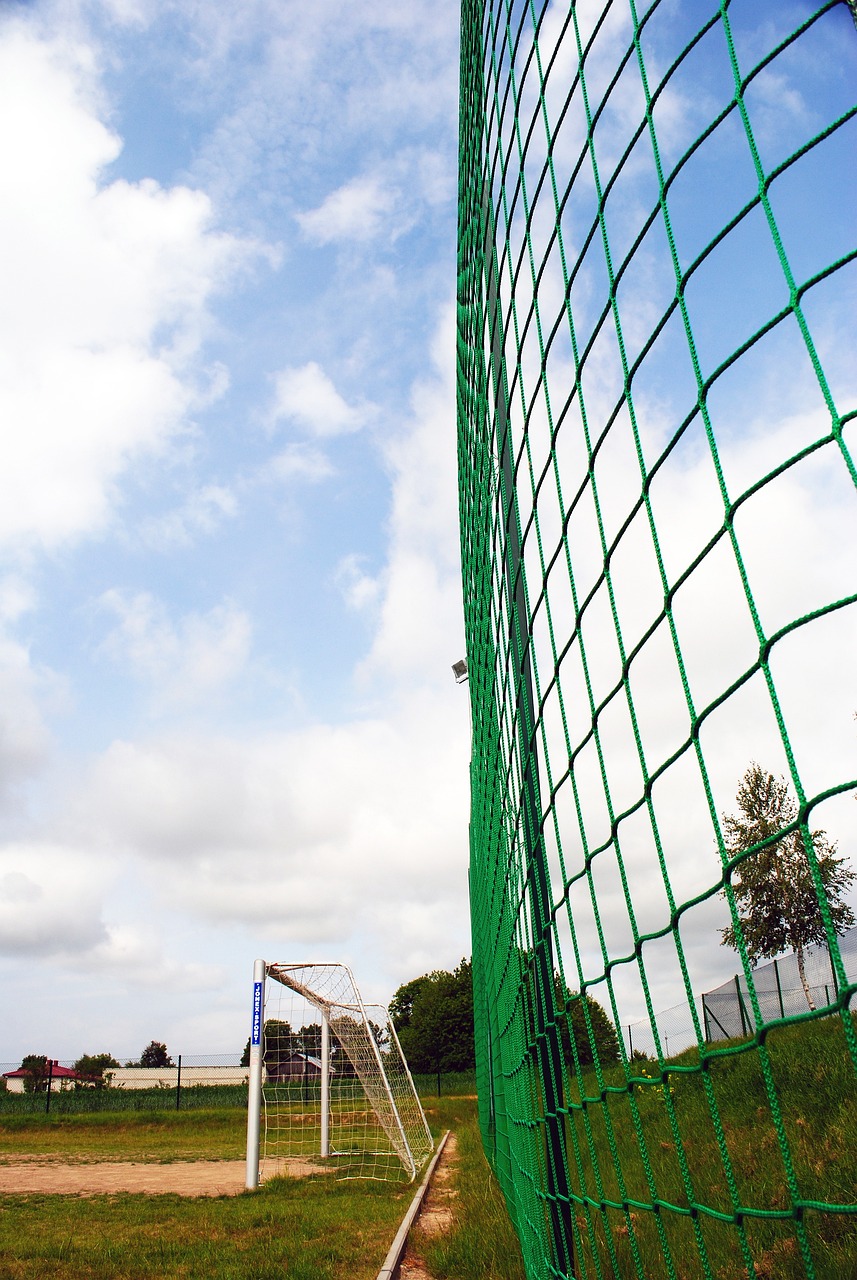 王艺竹之间 王艺竹之间