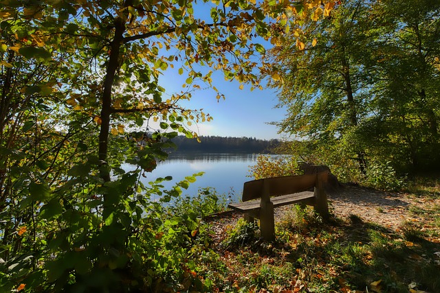逐渐意识到 逐渐意识到